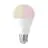 Eglo LED E27 Poire Claire Filament 11W 1300lm - 827-865 Accordable Blanc + RGB | Zigbee Dimmable - Remplacement 100W